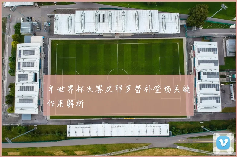 年世界杯决赛皮耶罗替补登场关键作用解析