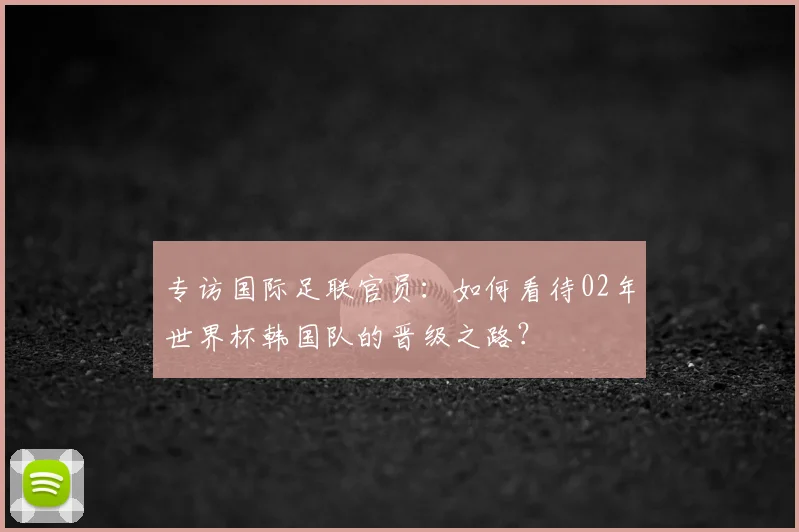 专访国际足联官员：如何看待02年世界杯韩国队的晋级之路？