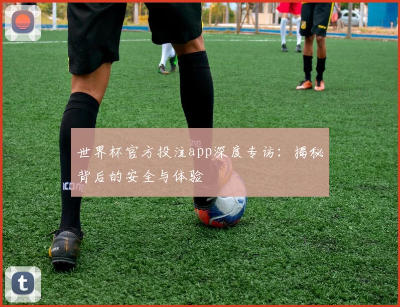 世界杯官方投注app深度专访：揭秘背后的安全与体验