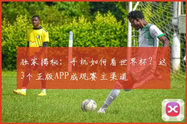 独家揭秘：手机如何看世界杯？这3个正版APP成观赛主渠道